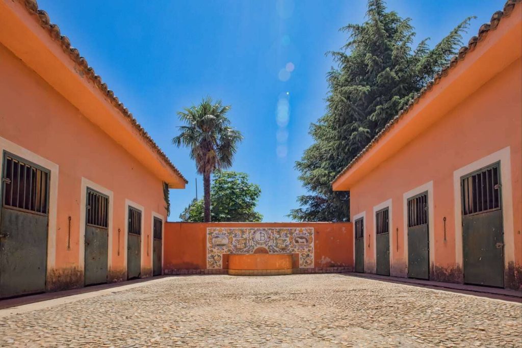 Patio interno de establos con suelo de adoquines, rodeado por paredes anaranjadas y puertas de establos, bajo un cielo azul.