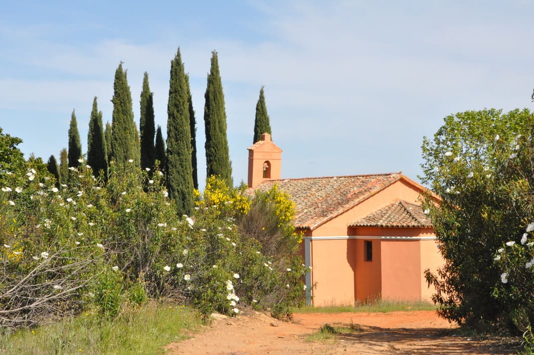 Pequeña capilla rodeada de cipreses y arbustos florecidos en un entorno campestre.